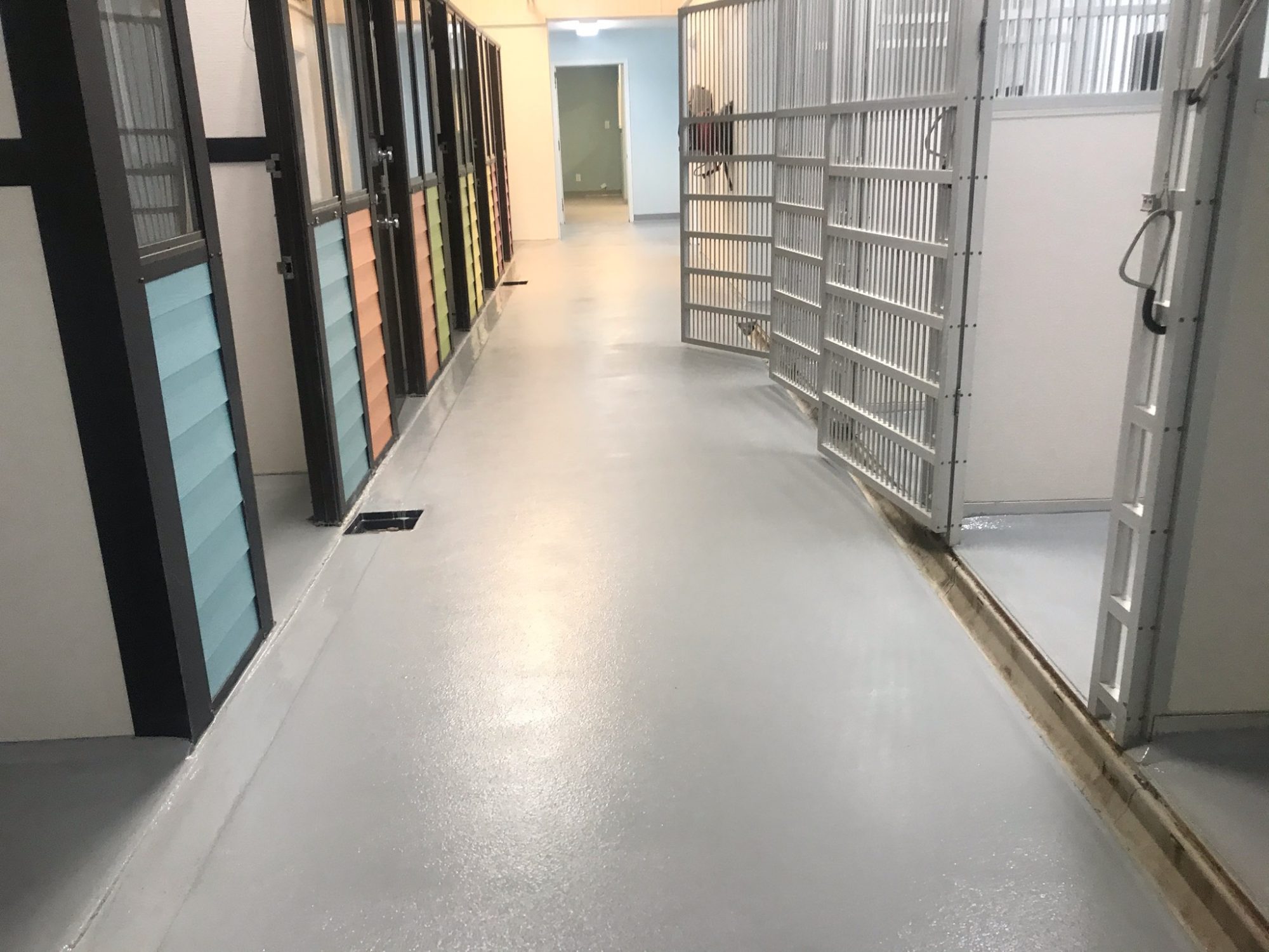 animal hospital, veterinary flooring, pet hospital flooring, epoxy floor coatings, non slip floor