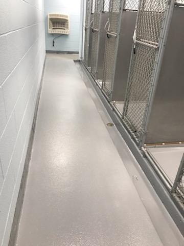 animal hospital flooring, boarding kennel flooring, pet hospital flooring, epoxy floor coatings