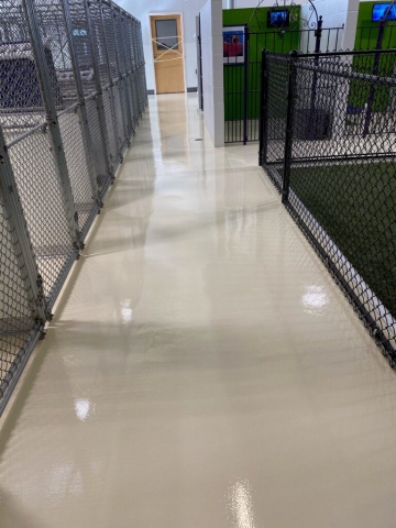 Concrete floor coatings, epoxy floor coatings, epoxy coatings, Industrial Applications Inc, TeamIA, epoxy floor coating, kennel epoxy coatings, kennel coatings, veterinary coatings