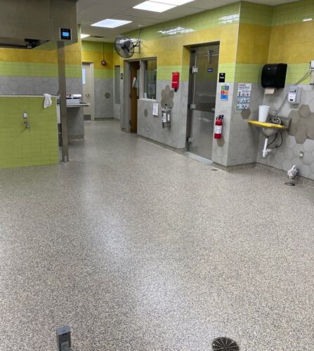Industrial Applications, Inc. thoroughly prepped the floors, then primed and installed decorative flake flooring system with integral cove base throughout the kitchen areas in multiple schools. Kitchen and Cafeteria