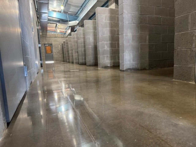 The scope at the Animal Shelter brought real challenges. Kennel areas required detailed hand grinding along thousands of feet of block wall edges. Our team also hand polished around drains and navigated inconsistent, uneven concrete throughout the space