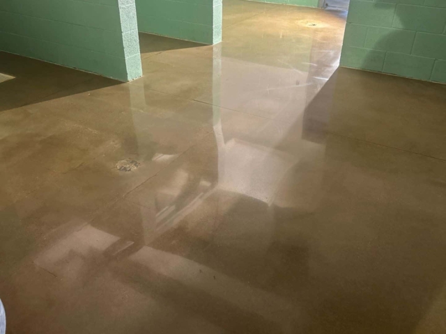 Animal shelter environments demand more from a floor than almost any other space. Constant foot traffic, cleaning cycles, moisture, and impact all work against long-term performance. IA installed a polished concrete solution for more than 4,000 square feet that would hold up under daily stress while still creating a clean, welcoming environment.